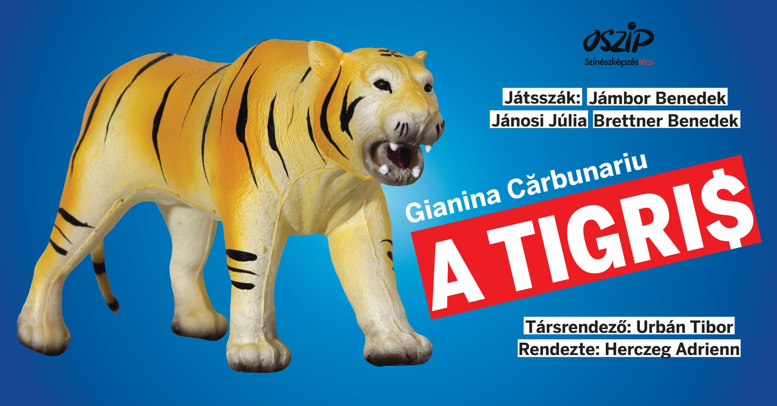 A tigris